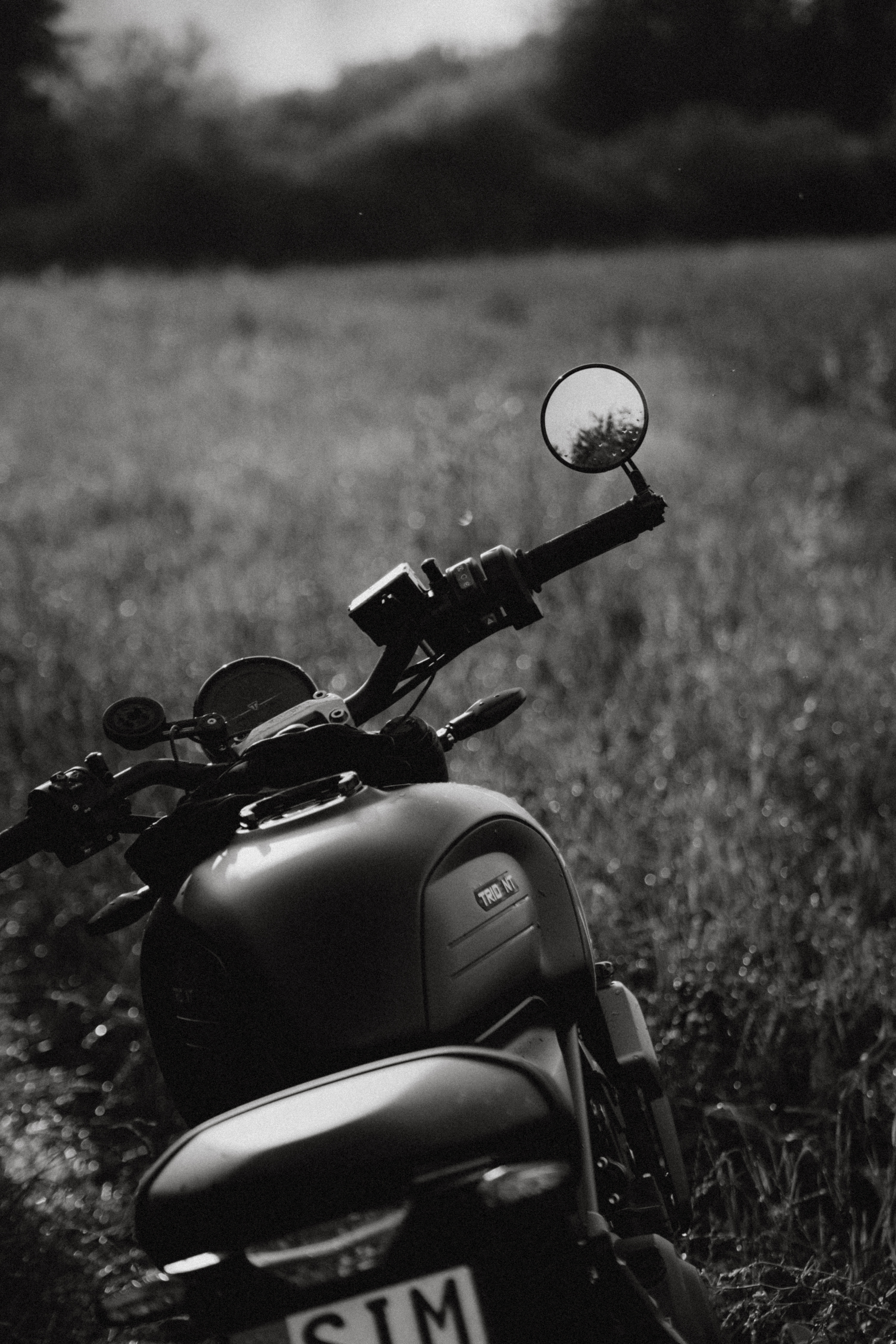 Motorrad-Detail im Feld – Ruhe und Klarheit als Gegenpol zur Geschwindigkeit